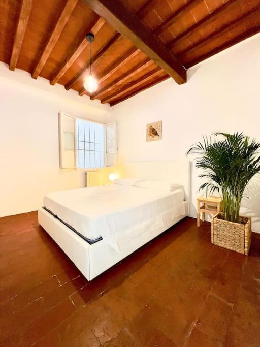 Appartamento Casa Centro Firenze Wi Fi Aria Condizionata Netflix Esterno foto