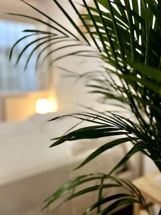 Appartamento Casa Centro Firenze Wi Fi Aria Condizionata Netflix Esterno foto