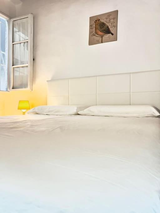 Appartamento Casa Centro Firenze Wi Fi Aria Condizionata Netflix Esterno foto
